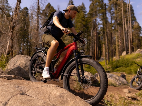 fat-tire-e-bikes