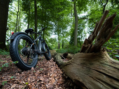 fat-tire-e-bikes