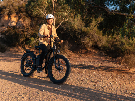 folding-e-bikes