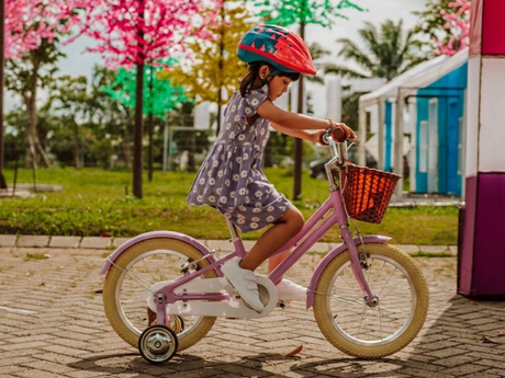 girl-20-inch-bicycle