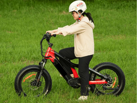 kids-e-bike-vs-dirt-bikes