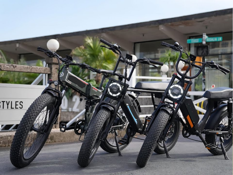 mopped-e-bike