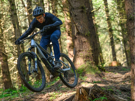 mountain-electric -bike