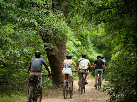 off-road-e-bike-models