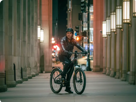 ridstar-electric-bike 