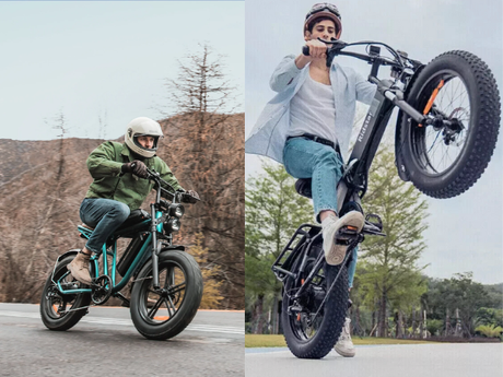 ridstar-vs-engwe-e-bikes
