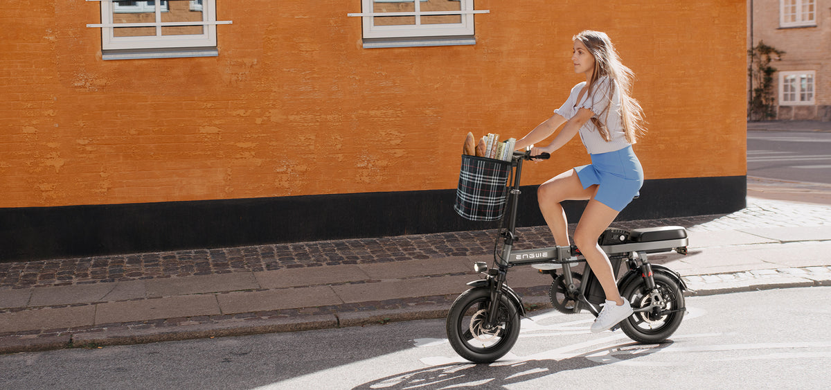 ENGWE T14 250W Hub Motor Foldable Electric Mini Bike