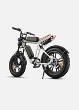 dual battery ebike engwe m20