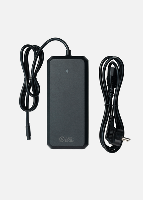 ENGWE Charger