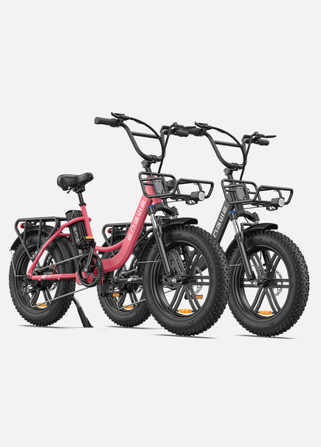 ENGWE Velo Electrique pour Adultes, Vélo électrique avec 250W 100Nm Moteur Central, Ebike avec Suivi APP, vélo électrique 25KM/H avec 48V 19.2AH/38.4AH Batterie Amovible jusqu'à 180/350KM, LE20 Cargo ENGWE Velo Electrique pour Adultes, Vélo électrique avec 250W 100Nm Moteur Central, Ebike avec Suivi APP, vélo électrique 25KM/H avec 48V 19.2AH/38.4AH Batterie Amovible jusqu'à 180/350KM, LE20 Cargo