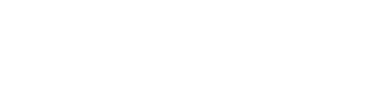 Engwe logo - codice sconto engwe